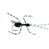 Bill´s Black Flying Ant -Geschäft Für Angelbedarf 1722xx