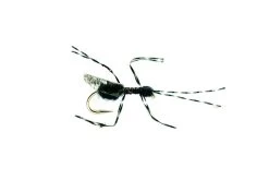 Bill´s Black Flying Ant