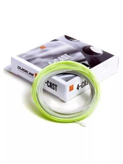 Guideline 4-Cast WF F/S5