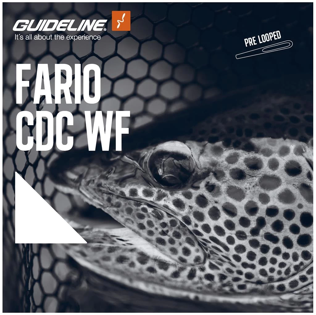 Fario CDC WF Fliegenschnur 5 Fario CDC WF Fliegenschnur – Bild 3