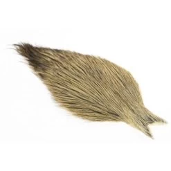 Whiting Coq De Leon Cape -Geschäft Für Angelbedarf Whiting 20 20Coq 20de 20leon 20Light 20Ginger 20Brenda2