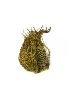 Whiting Bugger Pack -Geschäft Für Angelbedarf bugger pack grizzly dark olive