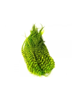 Whiting Bugger Pack -Geschäft Für Angelbedarf bugger pack grizzly fl green