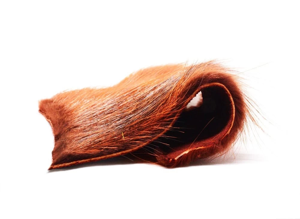 Future Fly Nutria 4 Future Fly Nutria – Bild 2