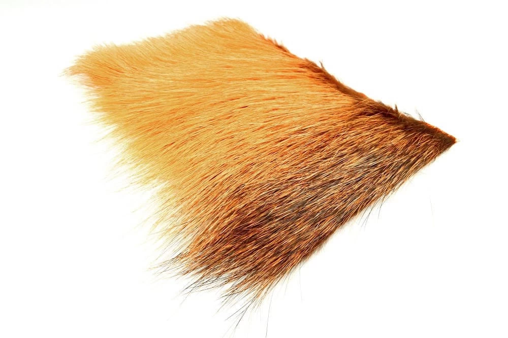 Future Fly Nutria 5 Future Fly Nutria – Bild 3