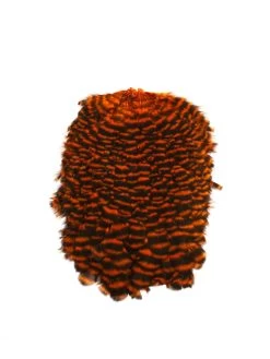 FUTURE FLY American Hen Saddle