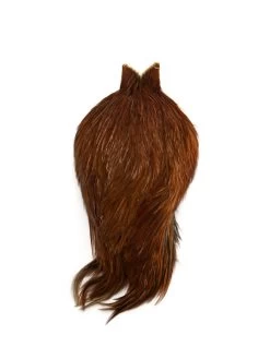 FUTURE FLY Rooster Cape -Geschäft Für Angelbedarf futurefly american rooster cape brown