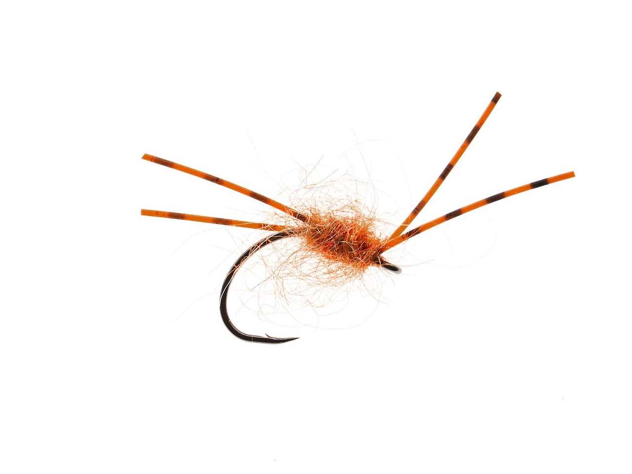 Fyggi Orange 3 Fyggi Orange