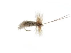 Goddard Caddis