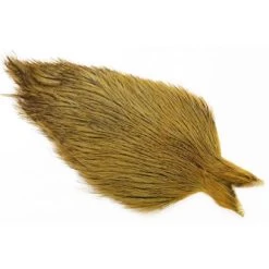 Whiting Coq De Leon Cape -Geschäft Für Angelbedarf img 7840