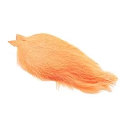 Whiting Coq De Leon Cape -Geschäft Für Angelbedarf img 9402 kopier