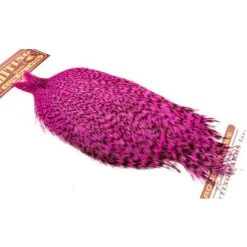 Whiting Coq De Leon Cape -Geschäft Für Angelbedarf img 9403 kopier