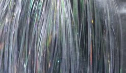 Flashabou -Geschäft Für Angelbedarf lS6890Xo 1