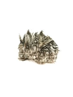 Wapsi Barred Neck Hackle -Geschäft Für Angelbedarf neck hackle barred natural
