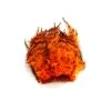 Wapsi Barred Neck Hackle -Geschäft Für Angelbedarf neck hackle barred orange 1