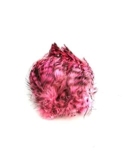 Wapsi Barred Neck Hackle -Geschäft Für Angelbedarf neck hackle barred pink