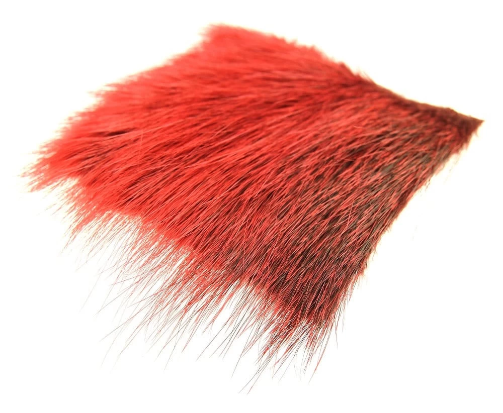 Future Fly Nutria 9 Future Fly Nutria – Bild 7