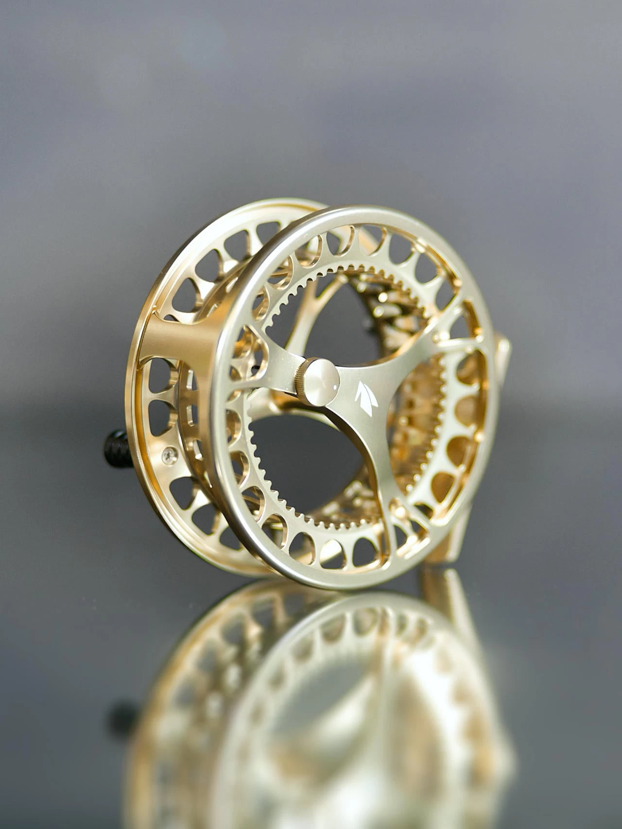 Sage Click Fliegenrolle Gold 6 Sage Click Fliegenrolle Gold – Bild 4